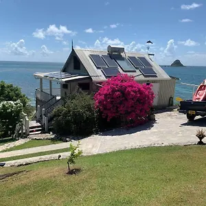 Exclusive Beachfront Eco Studio Apartment